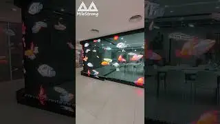 Flexible Transparent Holographic LED Display Screen for Showroom
