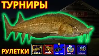 ОСЁТР Размоты ТУРНИРЫ 🔴 ХАЛЯВНЫЕ ПРЕМЫ И ЗОЛОТО 🎁 В  РУЛЕТКЕ - РАПТОР, ВЕНГА, РОД ПОД 💥 СТРИМ РР4