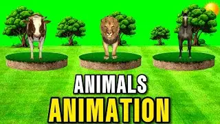 Cartoon Animals Cow,Lion,Horse Green Screen | Animals Stampede Video | Animals Animation & Running