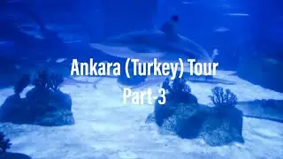 Aqua vega Aquarium in Ankara ,Snowfall in Ankara /Ankara [Turkey]tour part-3