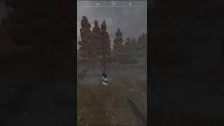 Любимые выносы 😻😻😻 | STALCRAFT 