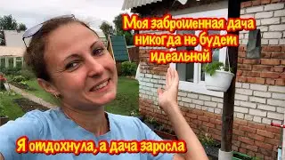 МОЯ ЗАБРОШЕННАЯ ДАЧА НИКОГДА НЕ БУДЕТ ИДЕАЛЬНОЙ/Я ОТДОХНУЛА, А ДАЧА ЗАРОСЛА/РАЗМНОЖАЮ КЛУБНИКУ/