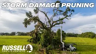 Pruning Storm Damaged Trees at Tallahassee National Cemetery!