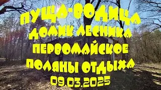 ПУЩА-ВОДИЦА: ОТ ГОРЕНКИ ДО ВОДОГОНА. Домик лесника, Первомайское, Поляны Пущи, Водица (09.03.2025)