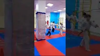 отработка удара шуто уке майаши май гери кеаге гьяку нуките