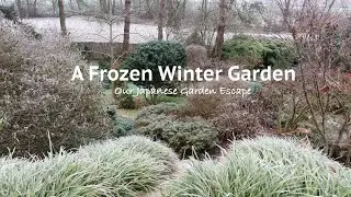 Frozen Winter Garden Tour | Our Japanese Garden Escape