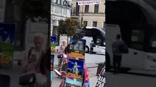 Джавид в Санкт-Петербурге
