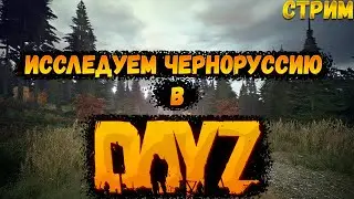 КООП ВЫЖИВАНИЕ В DAYZ НА СВОЁМ СЕРВЕРЕ [PVE СТРИМ]