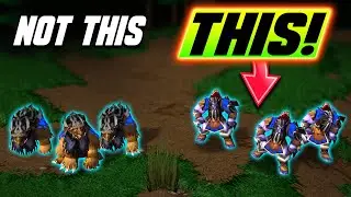 Mass Bears In WC3 But They May Not Transform - WC3 - Grubby