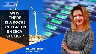 Which are the best renewable energy stocks to invest in 2021?