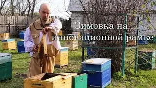 Зимовка на инновационной рамке