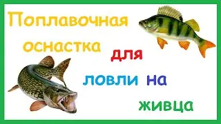 Поплавочная оснастка для ловли щуки и окуня на живца. Ловля хищника. Рыбалка. Fishing.