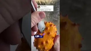 Анекдот про Телефон мужа 
