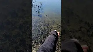 Ловим раки ранней весной! Первый улов в новом году!
