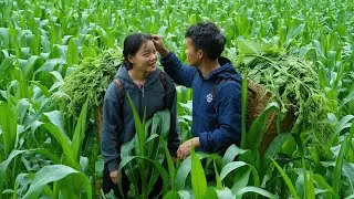 We hope to have a bumper corn crop this year: Earn extra income from young squash tops