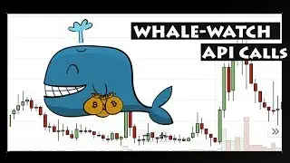 How to handle Whale-Watch API Calls