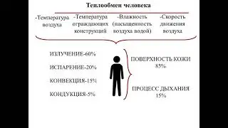 Лекция 5 курс. Тема 