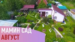 Мамин сад. Август.