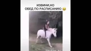 КОНЬ СКИНУЛ НАЕЗДНЕЦУ