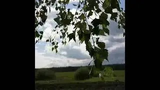 Лето