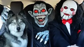Vampire Surprises Jigsaw & Puppy with Car Ride Chase!