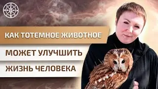 Как тотемное животное может улучшить жизнь человека?