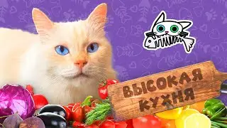 Свежий салат для котика - Кусь-шоу - Вкусняшки для котиков
