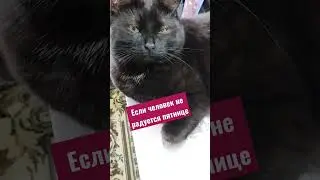 Если человек не радуется пятнице 🤣