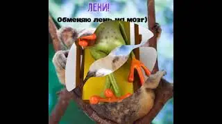 Всемирный день лени
