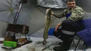трофей на удочку. НАЛИМ НА СТУК В МЕЛКОЙ РЕЧКЕ. 