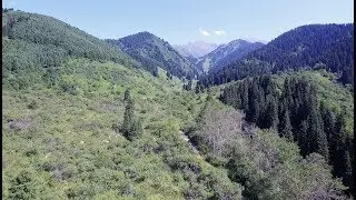 Солдатское ущелье, Талгарский район, около Алматы