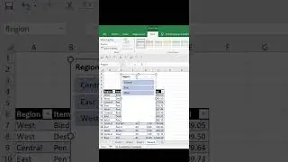 Excel Slicer to Enhance Data Visualization and filtering 