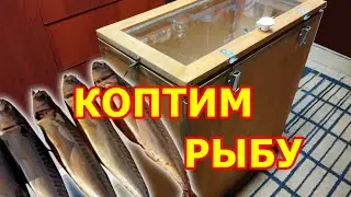 Копчение рыбы с помощью электростатики