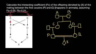 How to Calculate Inbreeding from Pedigrees