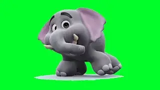 Elephant Dance Green Screen Animation Video