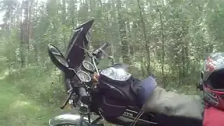 В лес на мопеде Альфа. СКУТЕР,МОПЕД, на скутере,