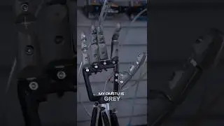 ОмГТУ полон ярких оттенков! 