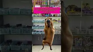 Заходите к нам в гости за настроением