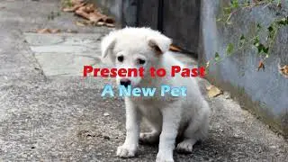 Present to Past 11 - A New Pet