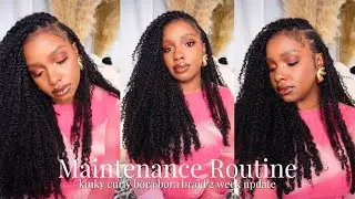 Maintenance Routine |  Kinky Curly Bora Bora Braids | 2 Week Update!