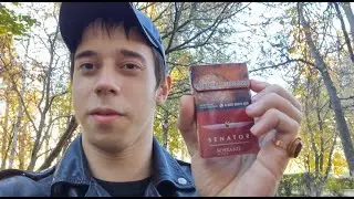 Обзор сигарет Senator original tobacco blend nano power