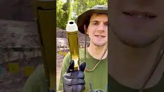 The Carry Guns of GunTubers ft. 