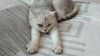 Поговорим?)