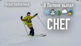 В Красной Поляне выпал снег, сколько?