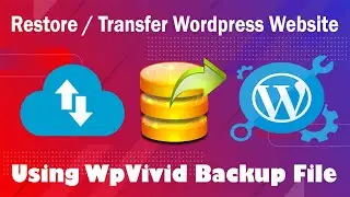 How to Transfer, Restore Wordpress Website From Wpvivid Plugin Backup File