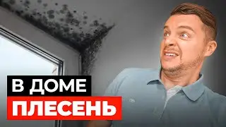 ПЛЕСЕНЬ В НОВОМ ДОМЕ! Не совершай ЭТИ ошибки в строительстве дома