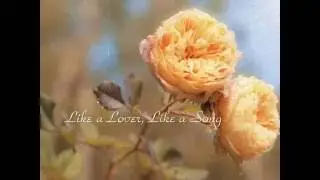 April Wine -  Like a Lover, Like a Song (live 2003 version)