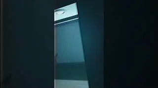 LIMINAL VIRUS 1