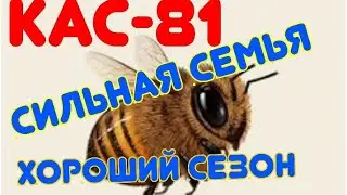 Top dressing KAS-81. My recipe for additives.