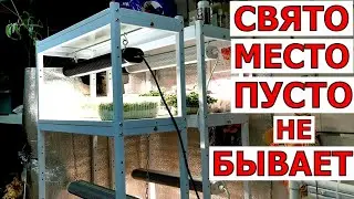 Борисыч сказал- прочно, надежно и красиво.Такие полки не испортят подоконник. Лампы  великолепные